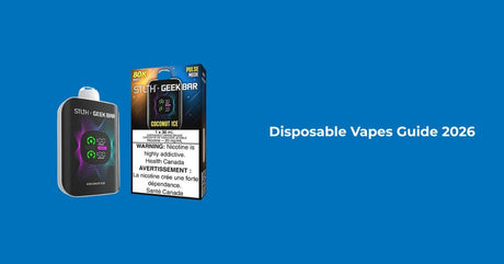 Disposable Vapes Guide Canada 2026 - How They Work