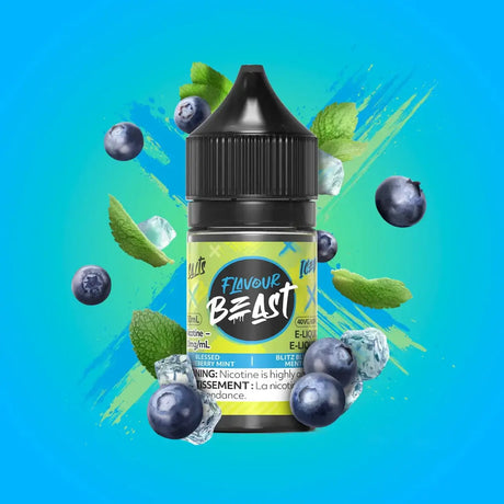 Flavour Beast - Blessed Blueberry Mint Ice - Salt Nic E-Liquid